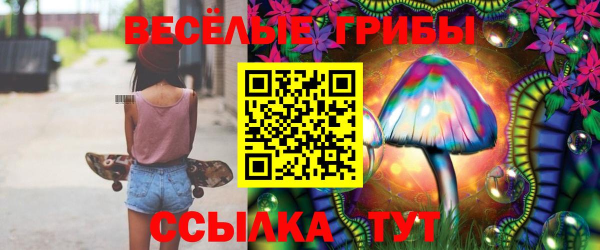 Псилоцибиновые грибы Cubensis Саяногорск