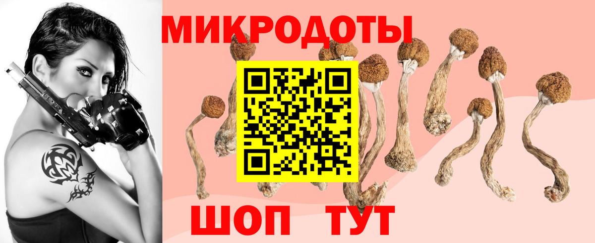 Галлюциногенные грибы GOLDEN TEACHER  Вход с VPN  Саяногорск 